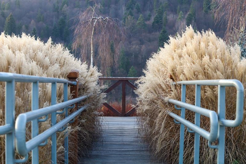 3. Senzorické záhrady - Ján Kováč