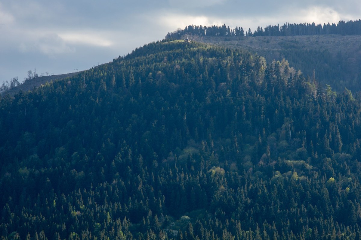Bajerovce - Rozvodie - pohľad na Čiernu horu a rozhľadňu